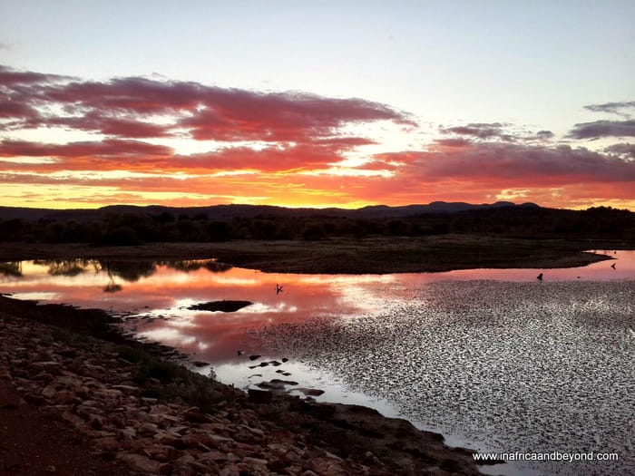30 Photos of South Africa that will fuel your wanderlust 18 African Bush Sunset