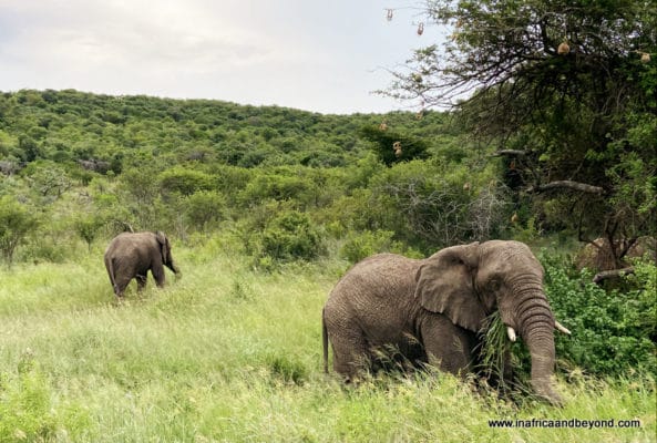 Things to do in KwaZulu Natal