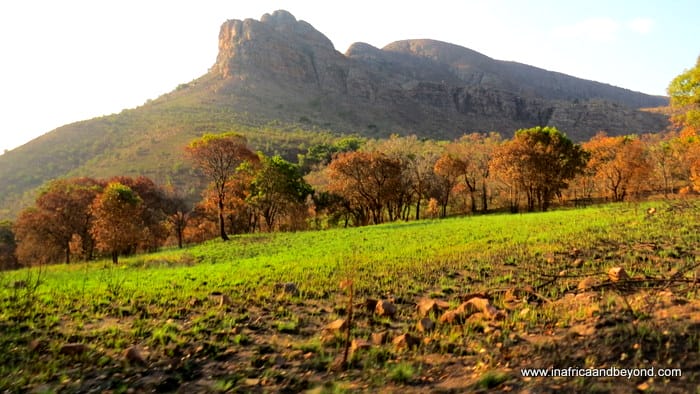 South Africas National Parks - Marakele National Park