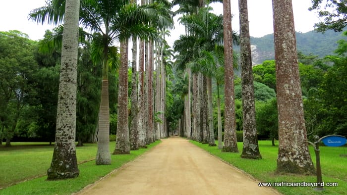 Things to do in Rio