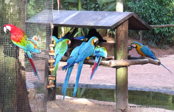 Things to do in Foz Do Iguacu