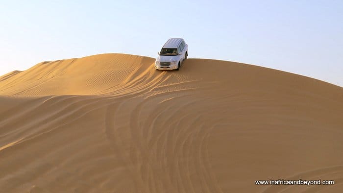 Abu Dhabi desert
