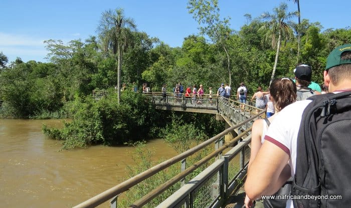Iguazu Falls