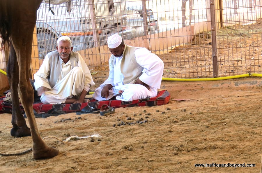 10 Best Things to do in Al Ain 5 Things to do in Al Ain