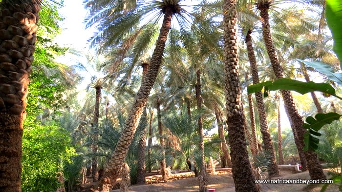 Things to do in Al Ain