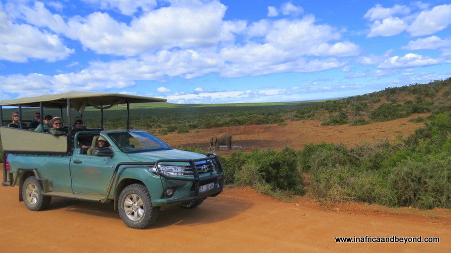 Addo Elephant National Park game drive