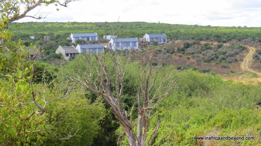 Addo Elephant National Park accommodation