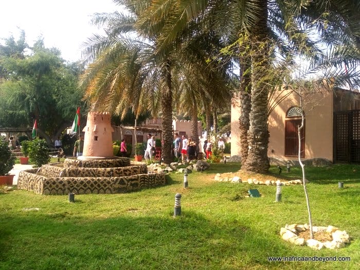 Things to do in Abu Dhabi