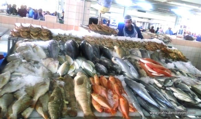 Things to do in Abu Dhabi