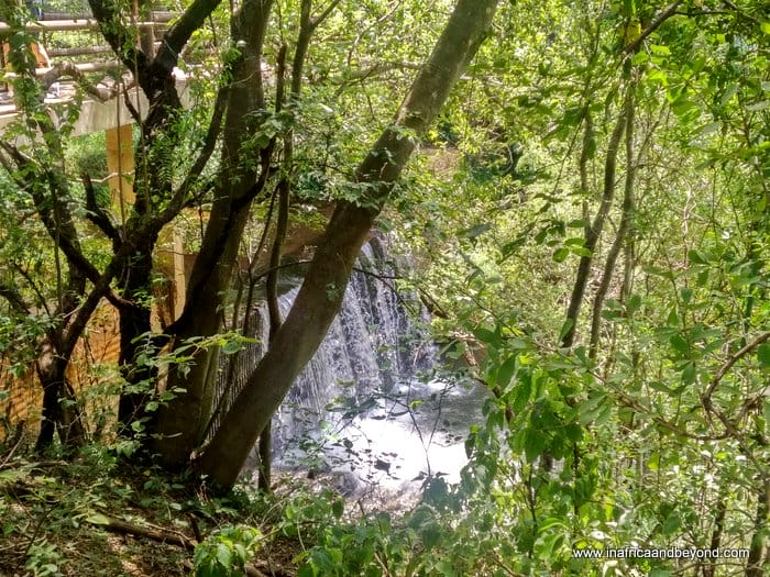 Walter Sisulu Botanical Gardens