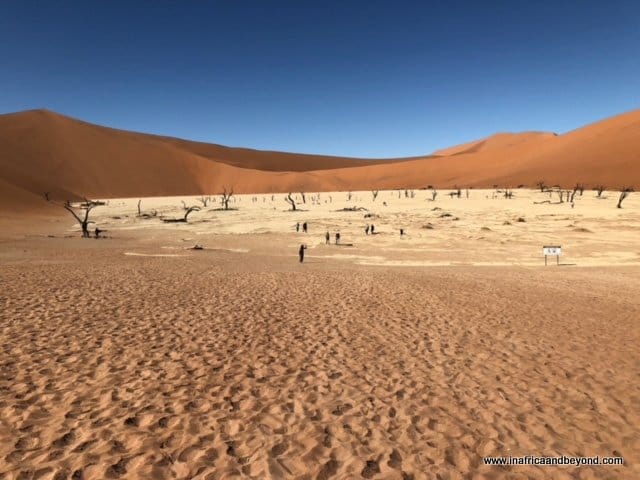 Namibia Holiday on a Budget: 7 Tips to Explore More for Less 1 Desert, sand dunes and dead trees at Sossusvlei and Deadvlei