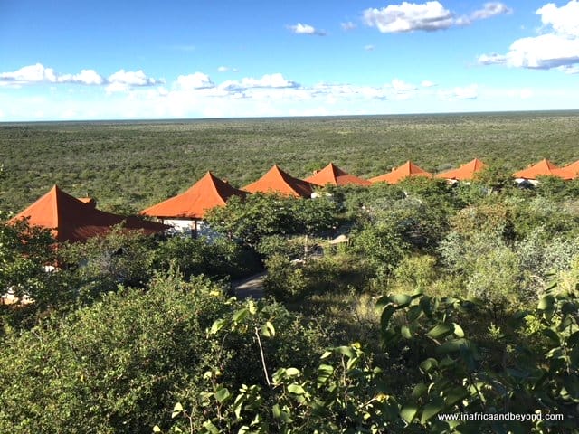 Etosha Safari Lodge