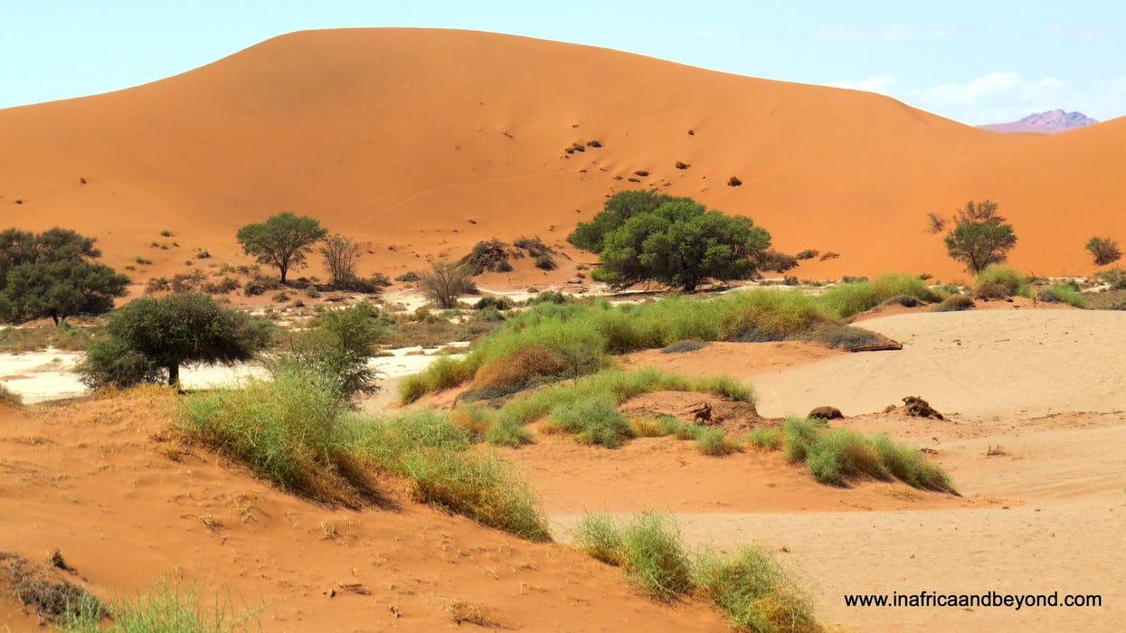 Highlights of Namibia - sand dune adventures