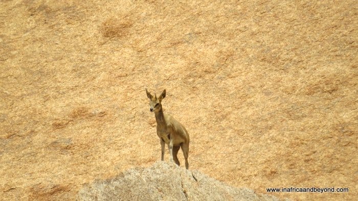 The fascinating Spitzkoppe Mountains of Namibia 9 Spitzkoppe