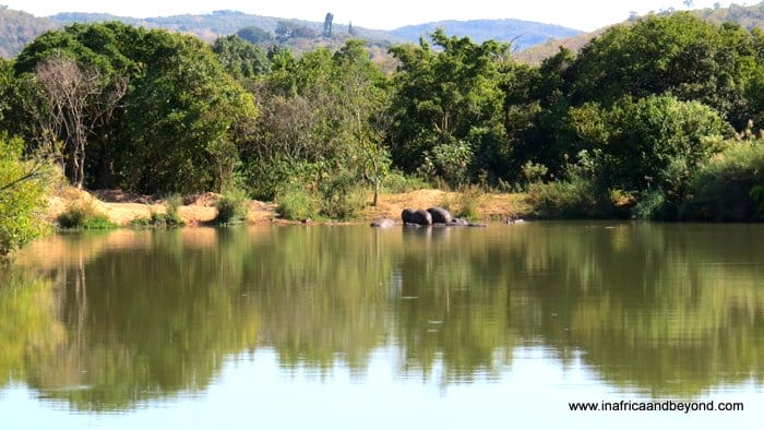 Family time at Kruger Park Lodge 1 Kruger Park Lodge