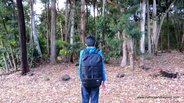 All-Star Hybrid Backpack 