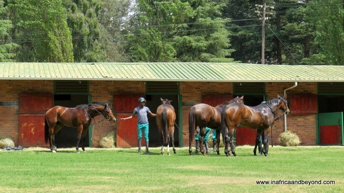 Hartford House -The only world-class hotel on a world-class stud farm   3 Hartford House