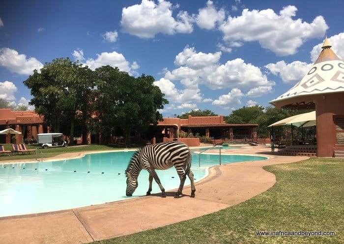 Avani Victoria Falls 