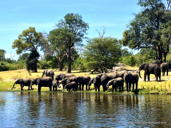 Experience the magic of the Zambezi at Royal Chundu 4 Royal Chundu