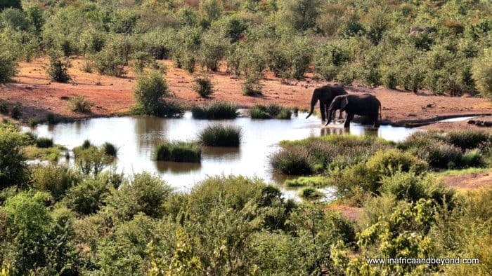 Wildlife & waterfalls at the Victoria Falls Safari Lodge 11 Victoria Falls Safari Lodge