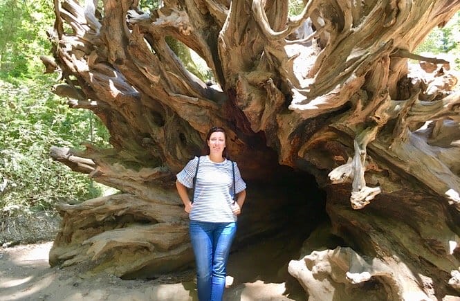 Julie More than Main Street