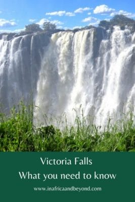 Victoria Falls Guide