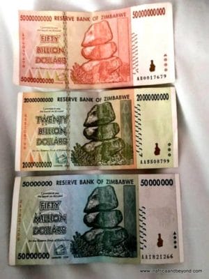 Victoria Falls - What you need to know 6 Old Zimbabwe currency