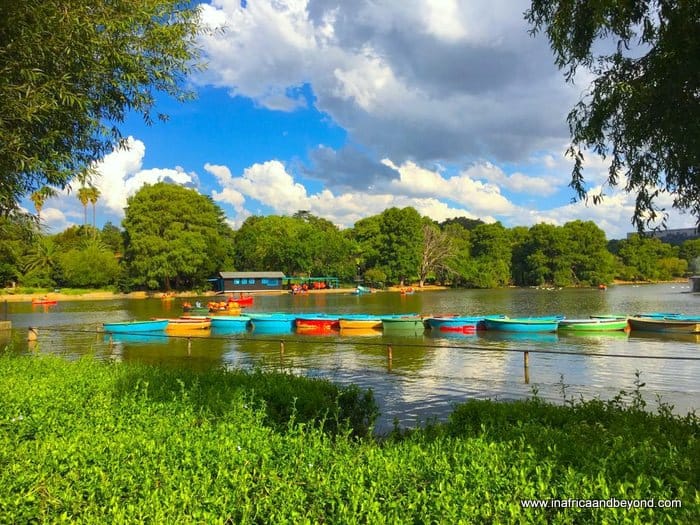 Things to do in Johannesburg