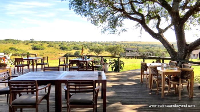 Hlosi Game Lodge - where the lions roar 2