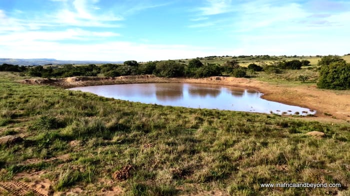 Amakhala Game Reserve