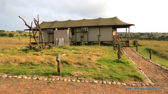 Hlosi Game Lodge