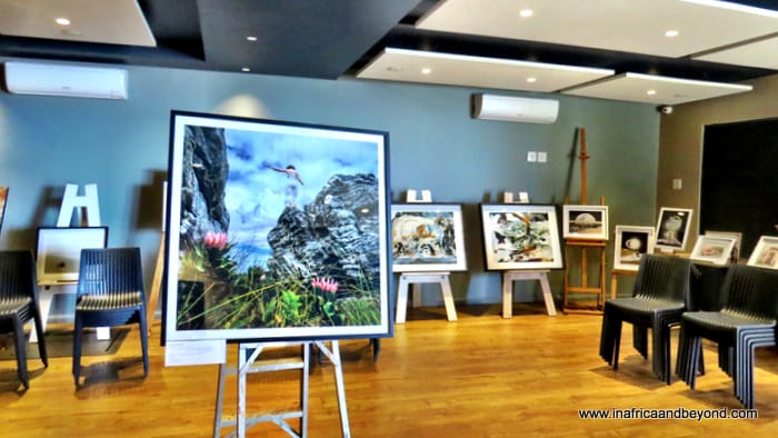 Plettenberg Art festival