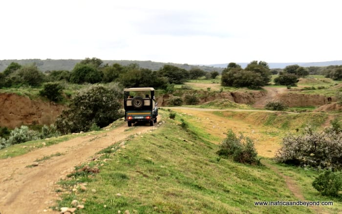 Amakhala Game Reserve