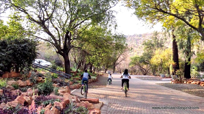 ANEW Resort Hunters Rest – a historic countryside gem 13 Protea Hotel by Marriott Hunters Rest