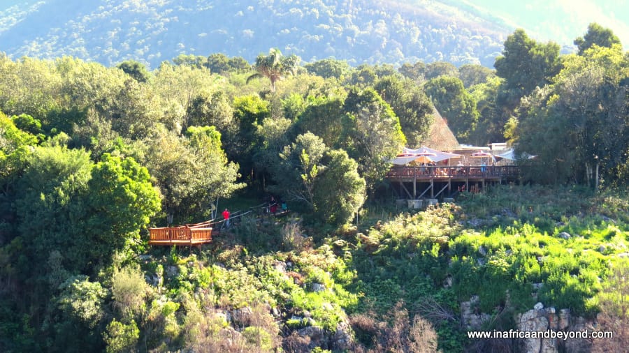 11 Unique Things to do in the Garden Route 2 Things to do in the Garden Route