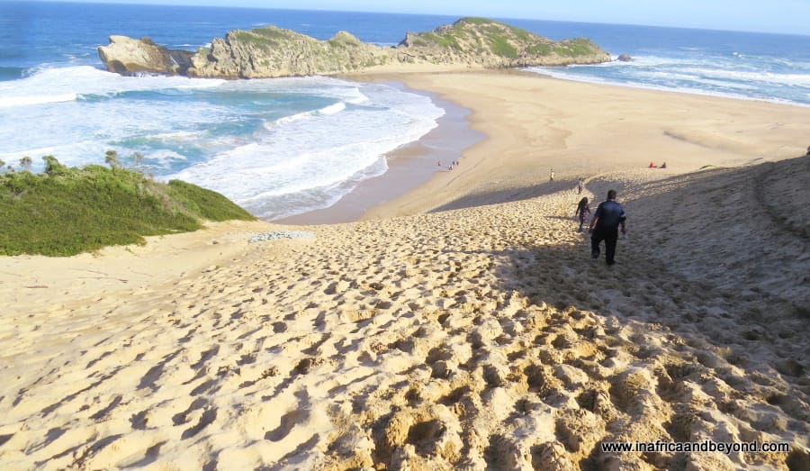 Things to do in the Garden Route