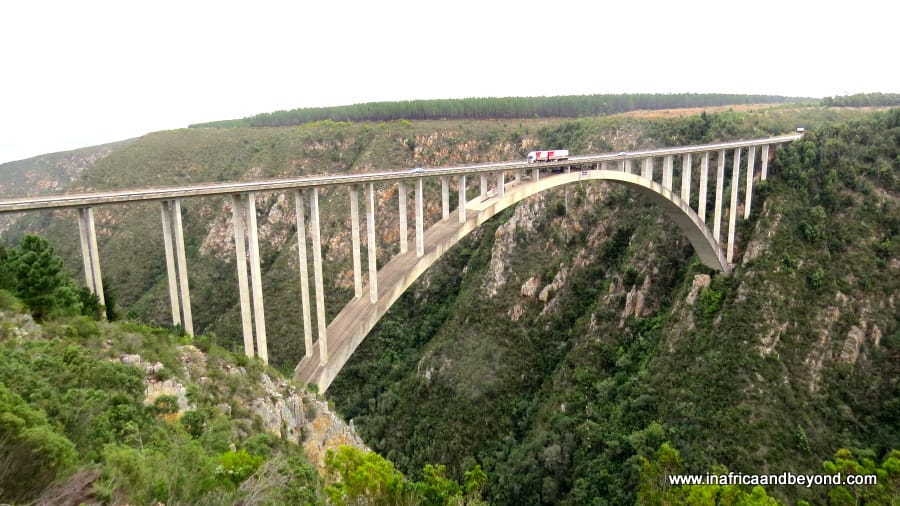 Things to do in the Garden Route