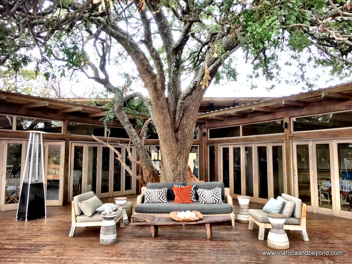 2019 - My year in review 4 Tintswalo at Lapalala