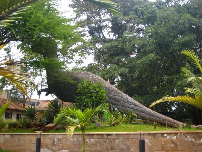 Things to do in Nairobi