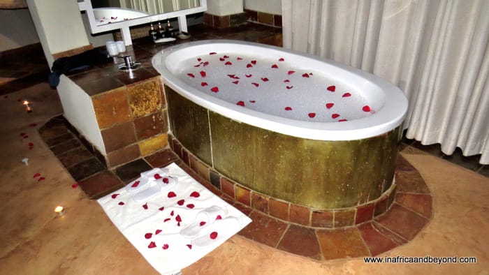 Madikwe Safari Lodge