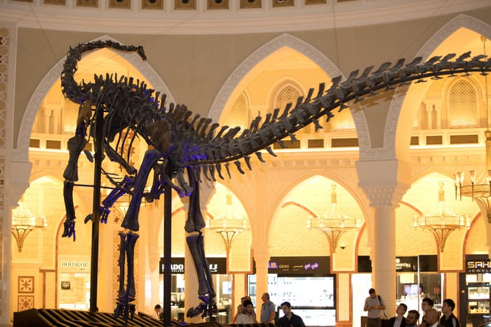 cool Things to do in Dubai