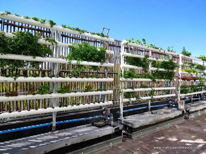 Sustainability in 2019