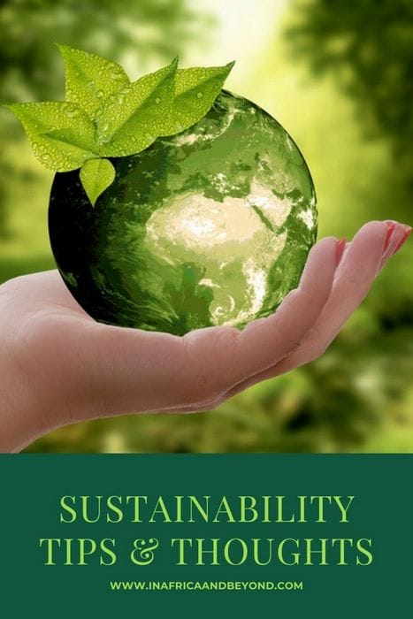 Sustainability in our present and beyond
