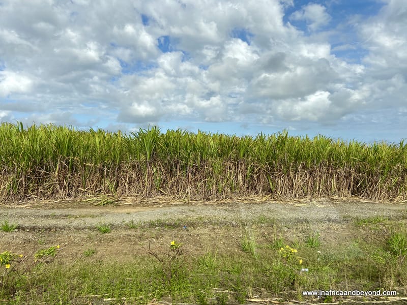 myths about Mauritius