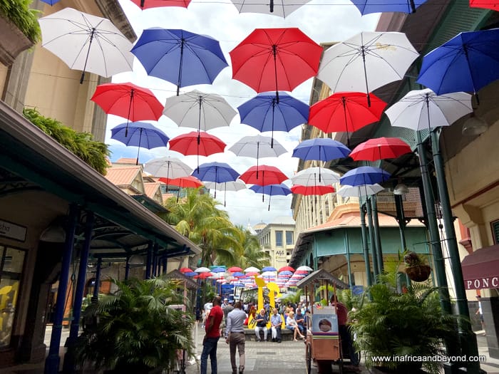 13 Things To Do In Mauritius Besides Water Sports 11 things to do in Mauritius