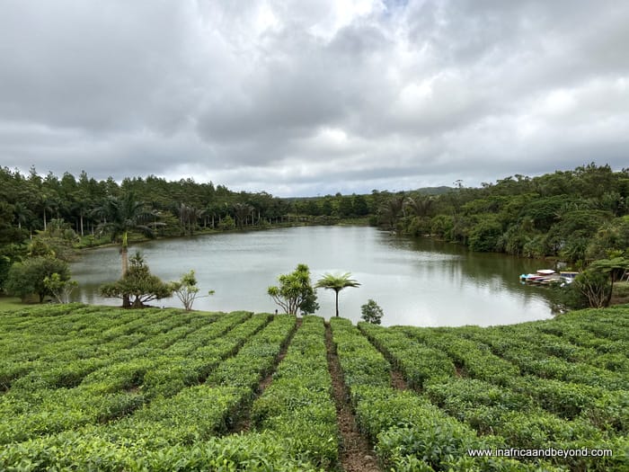 things to do in Mauritius 