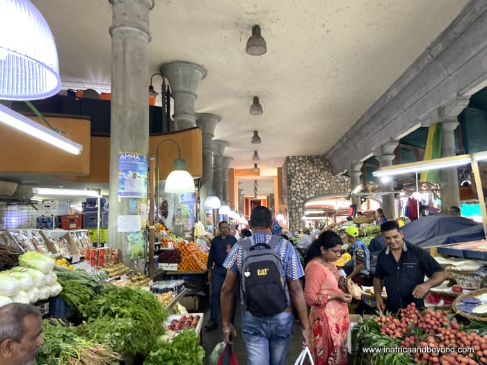 13 Things To Do In Mauritius Besides Water Sports 10 things to do in Mauritius