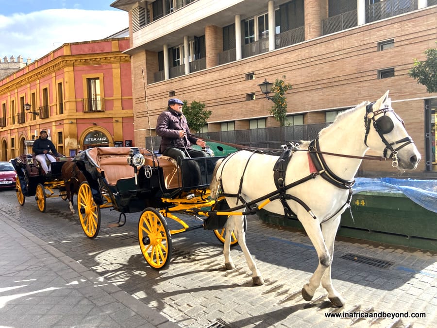 Things to do in Seville