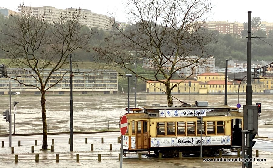 Things to do in Porto