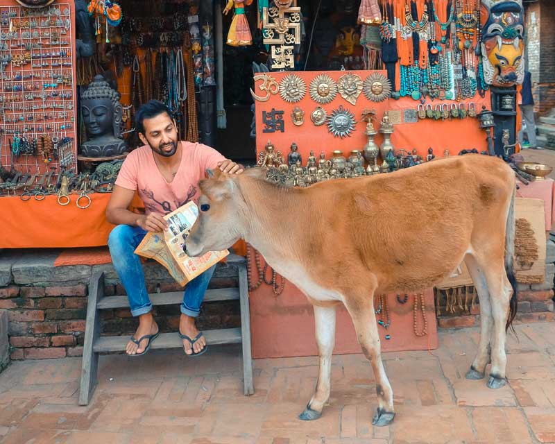 Travellers’ Tales – Meet Rai from A Rai of Light 1 Rai of Light